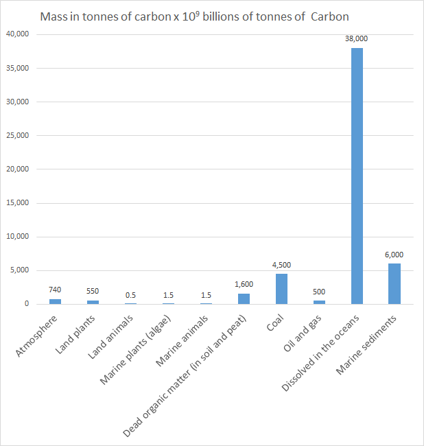 Carbon Sinks climate change science